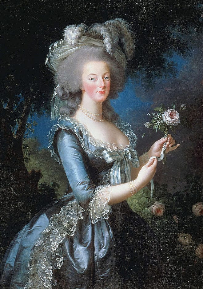 Marie-Antoinette
マリー・アントワネット
フランス王妃